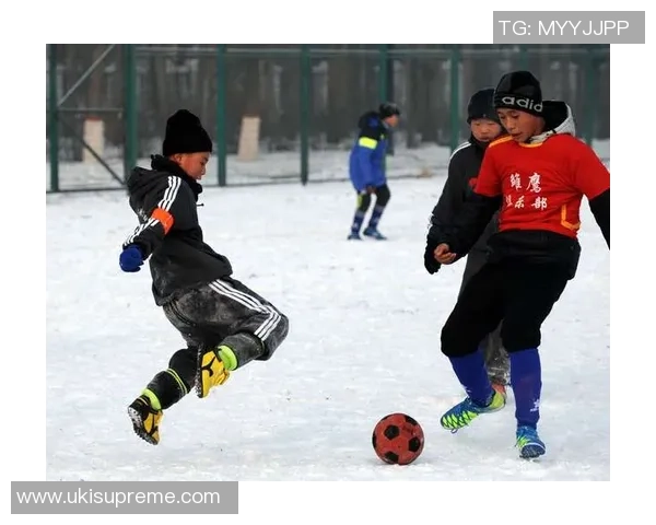 足球明星与冰球运动员的职业生涯差异及影响因素探讨 足球明星与冰球运动员的职业生涯差异及影响因素探讨