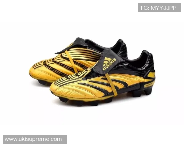 鹰与足球明星的象征意义探讨及其代表国家分析