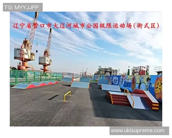 极限运动新手攻略：技术入门指南