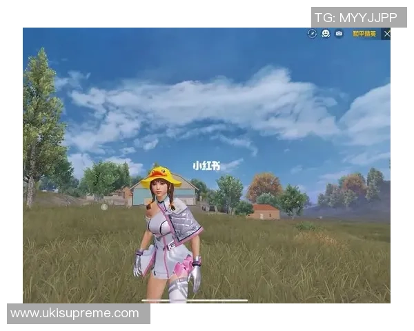 刘秀英专访：回顾和平精英历程