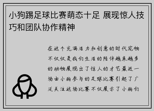 小狗踢足球比赛萌态十足 展现惊人技巧和团队协作精神