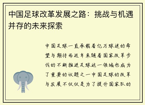 中国足球改革发展之路：挑战与机遇并存的未来探索