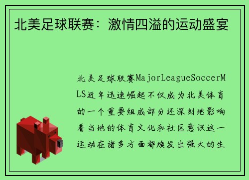北美足球联赛：激情四溢的运动盛宴