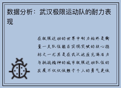 数据分析：武汉极限运动队的耐力表现