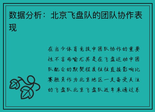 数据分析：北京飞盘队的团队协作表现